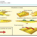 tipologia